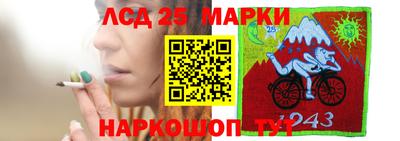 молекула духа Донской