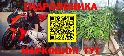 молекула духа Донской