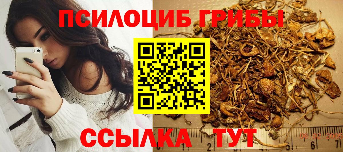 Минусинск  Галлюциногенные грибы Psilocybe  Псилоцибиновые грибы Psilocybine cubensis  Вход с VPN 